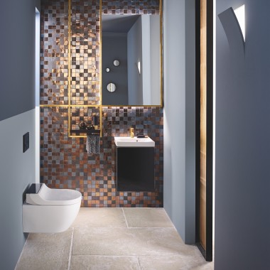 Geberit Acanto 的 Geberit AquaClean Tuma Comfort 冲洗式坐便器 Geberit Acanto 的 Geberit AquaClean Tuma Comfort 冲洗式坐便器