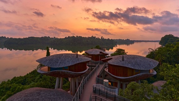万礼雨林度假村・种荚造型树屋 (© Banyan Tree)